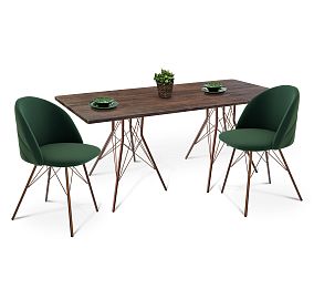 Стол со стульями SHT-DS117 (лиственно-зеленый/медный/палисандр)